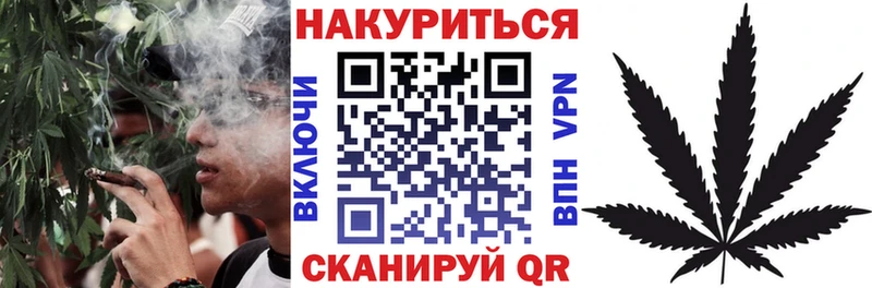 Шишки марихуана план  купить наркоту  Оха 